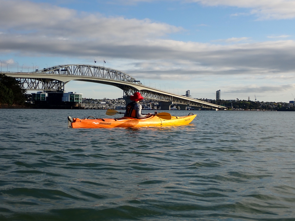 Harbour Bridge view